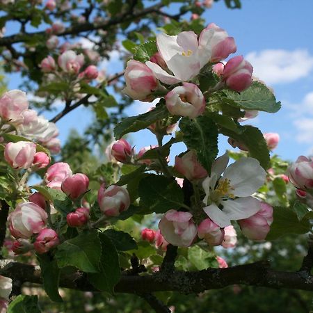 Gaestrum Gnottnehult Osterbymo Ngoại thất bức ảnh