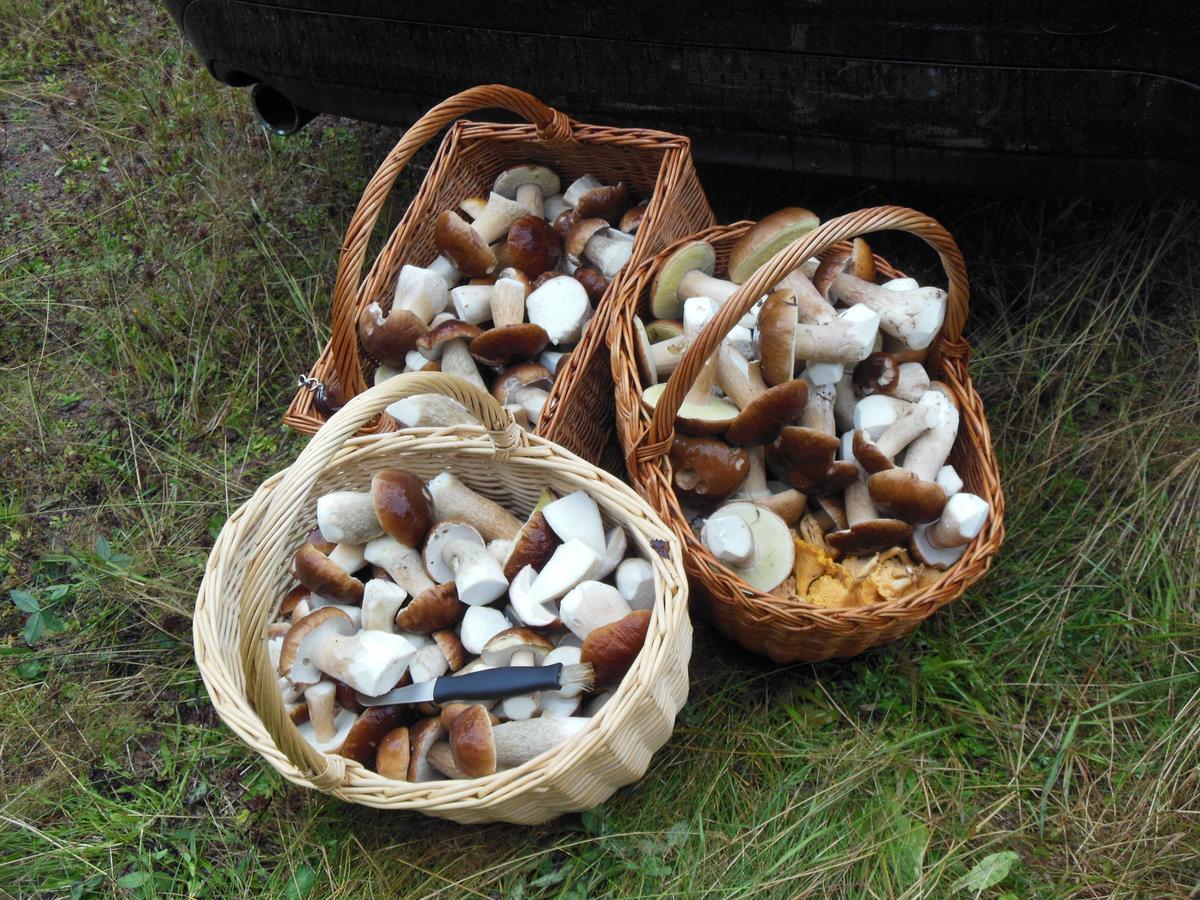 Gaestrum Gnottnehult Osterbymo Ngoại thất bức ảnh